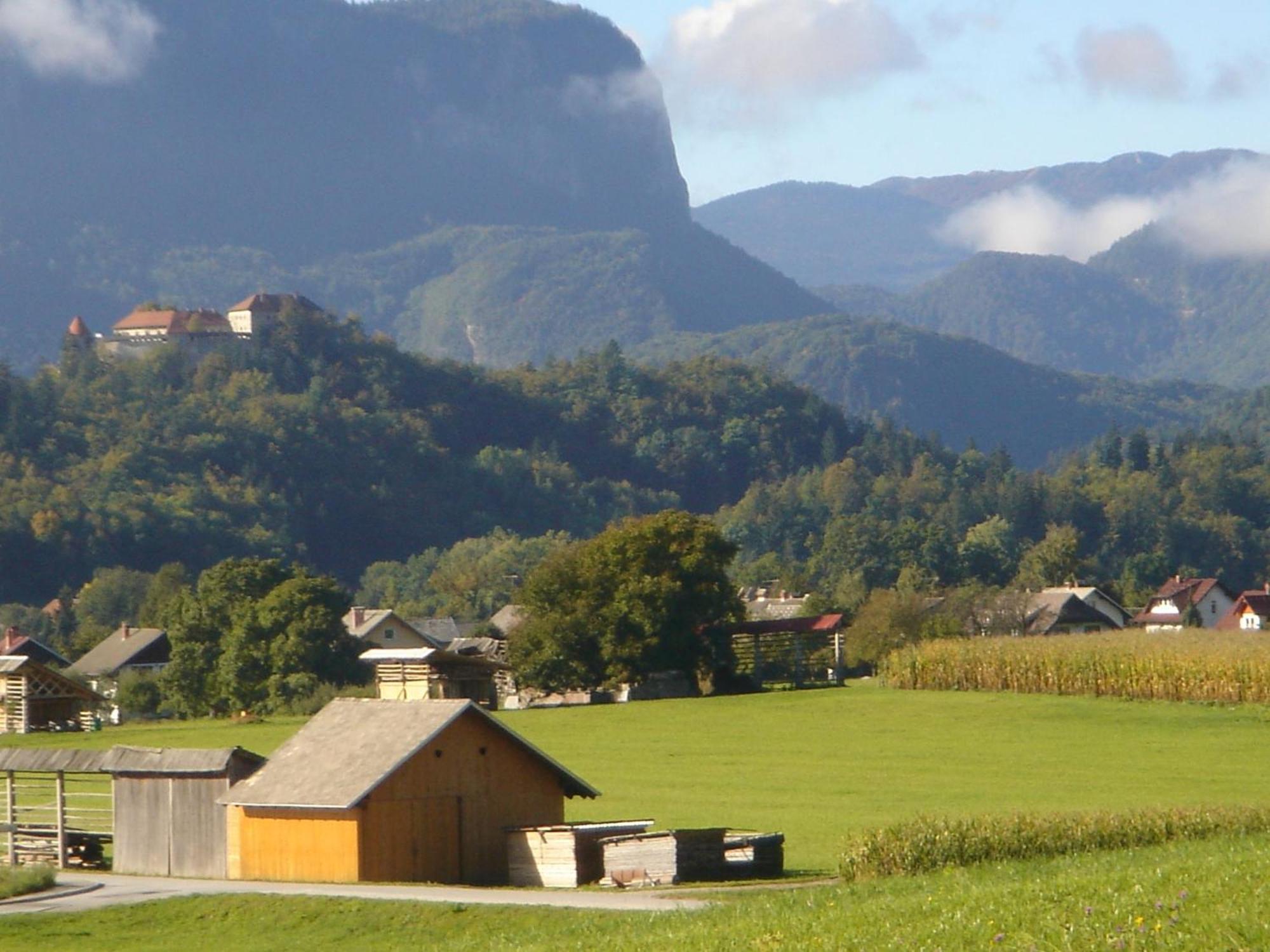 Villa Dei Sogni Bled Esterno foto